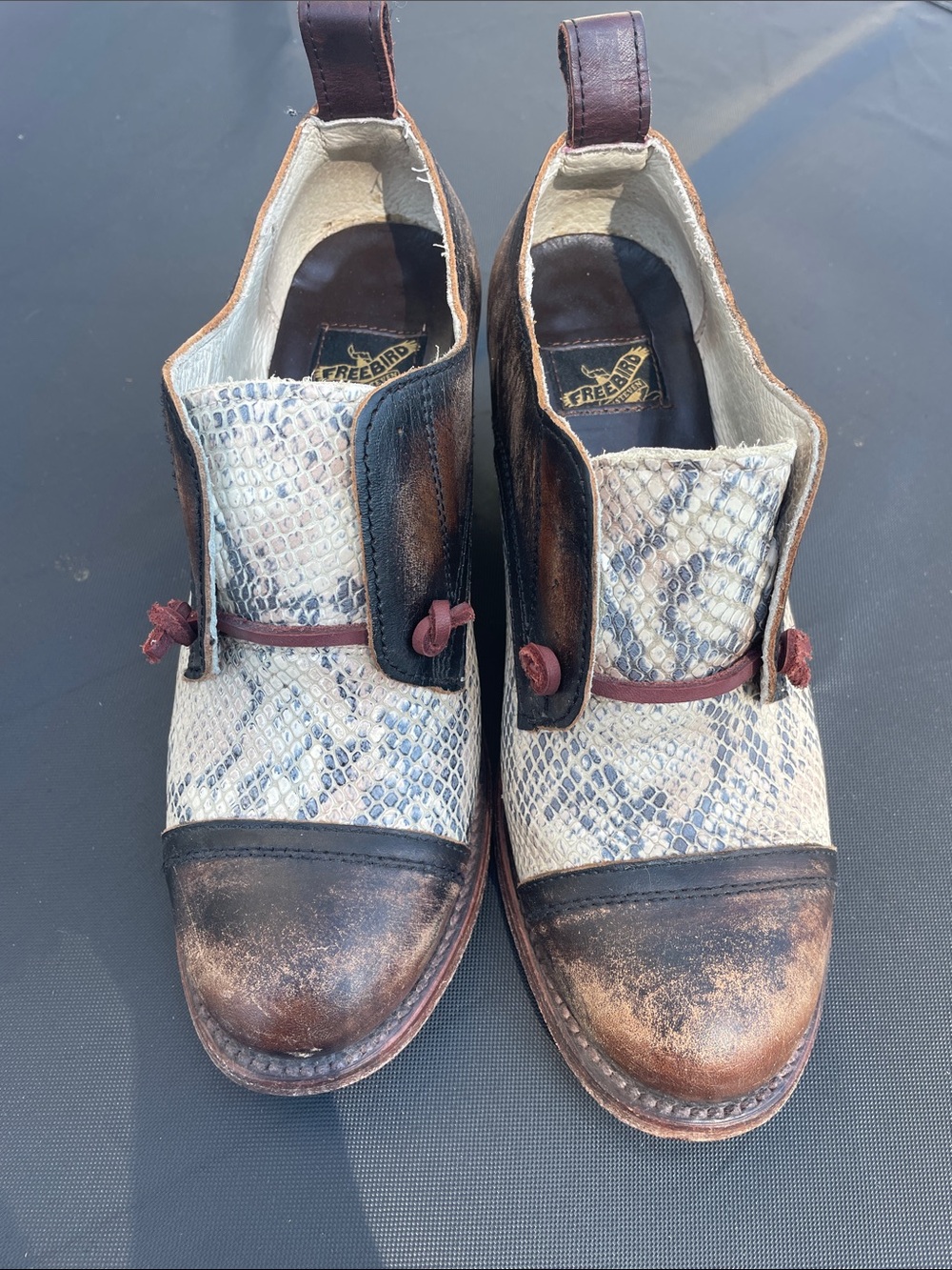 Freebird by Steven Sz 8 Catalina Brown & Cream Snake-Print Leather Heeled Oxford - Picture 14 of 15